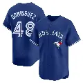 Youth No.48 Seranthony Dominguez Toronto Blue Jays Royal Limited Alternate Jersey