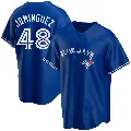 Youth No.48 Seranthony Dominguez Toronto Blue Jays Royal Replica Alternate Jersey